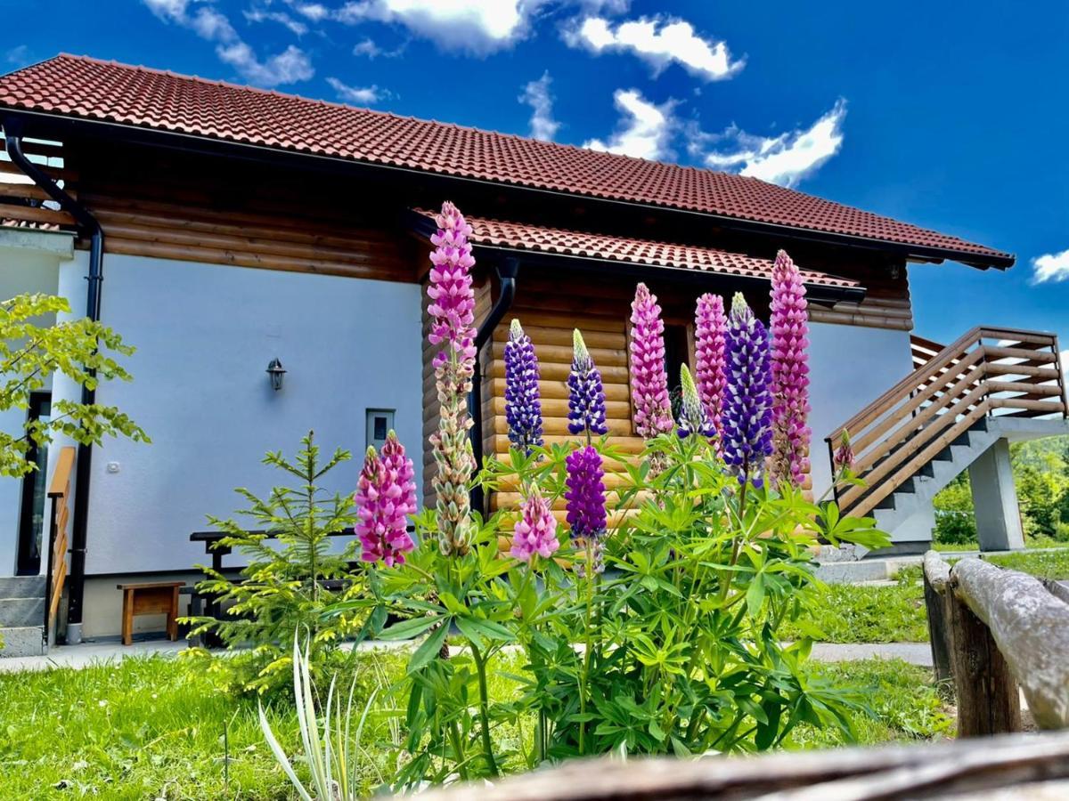 Studio Apartmani Patricia Smoljanac Exterior foto
